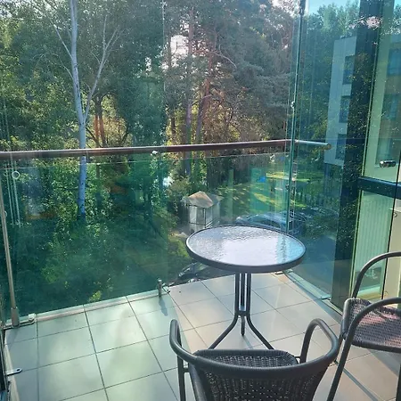 On The Shore Apartment Druskininkai